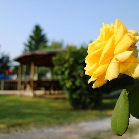 Agriturismo Ai Vigneti Ponti sul Mincio Zewnętrze zdjęcie